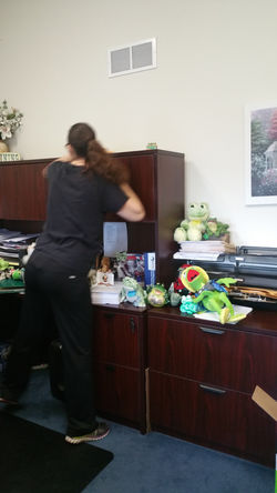 Office Cleaning