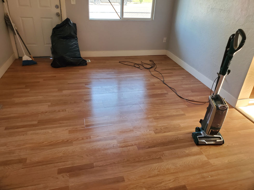 Finish Move Out- Shiny