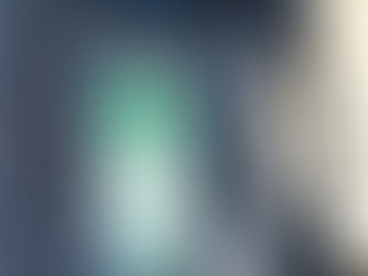 葉綠素計