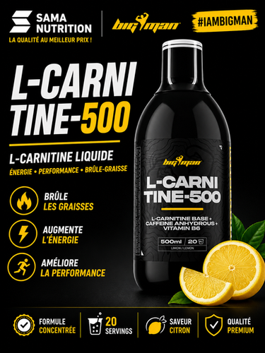 l carnitina bigman L-Carnitine 500 à Dakar Micro Ingredients Alpha Gpc