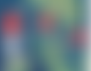 MISSING FLIGHT MH370!