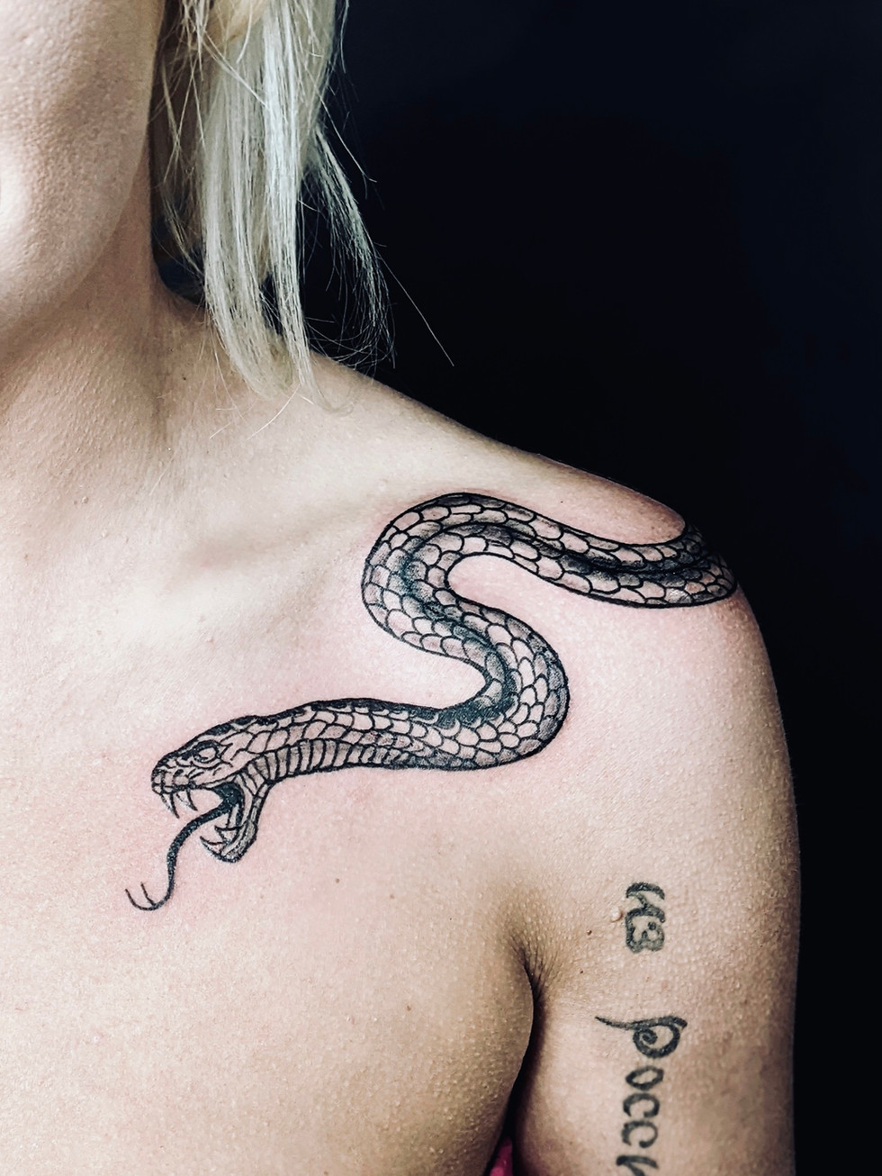 Snake