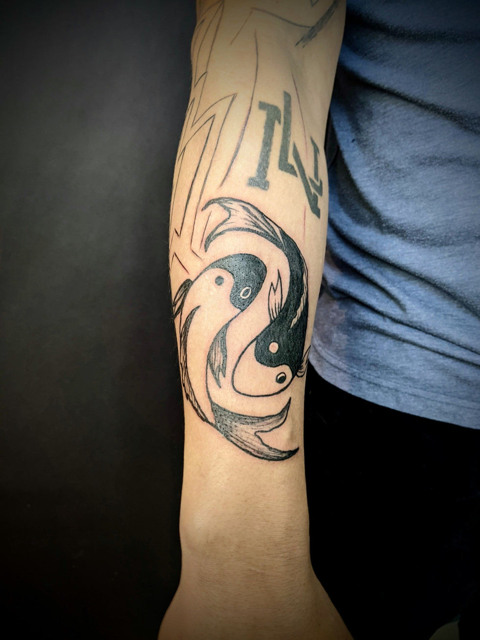 Koi