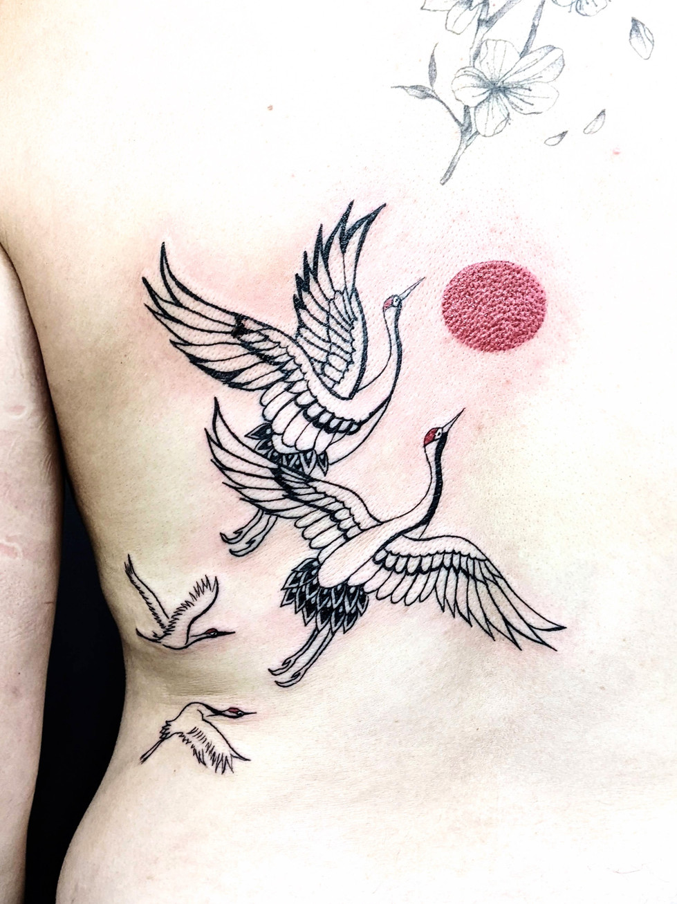 Cranes