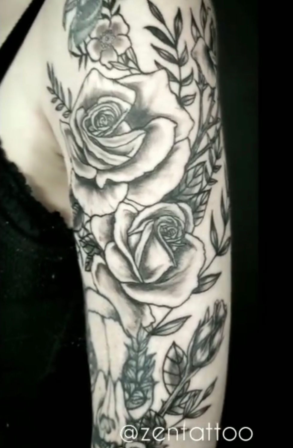 Roses