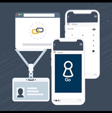 Remote Pro Annual Subscription per Door