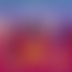 La prochaine rentrée pour Janvier 2024