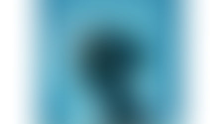 Mulheres e Tecnologia da Informação