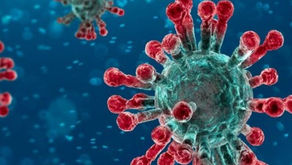 Esclarecendo o Coronavírus com Profissional da Área