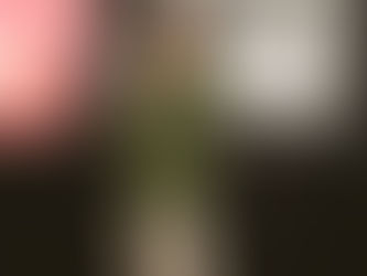 Melissa Sheridan was the Winner in the features category of this year's 'The Pitch' competition at the Nashville Film Festival.