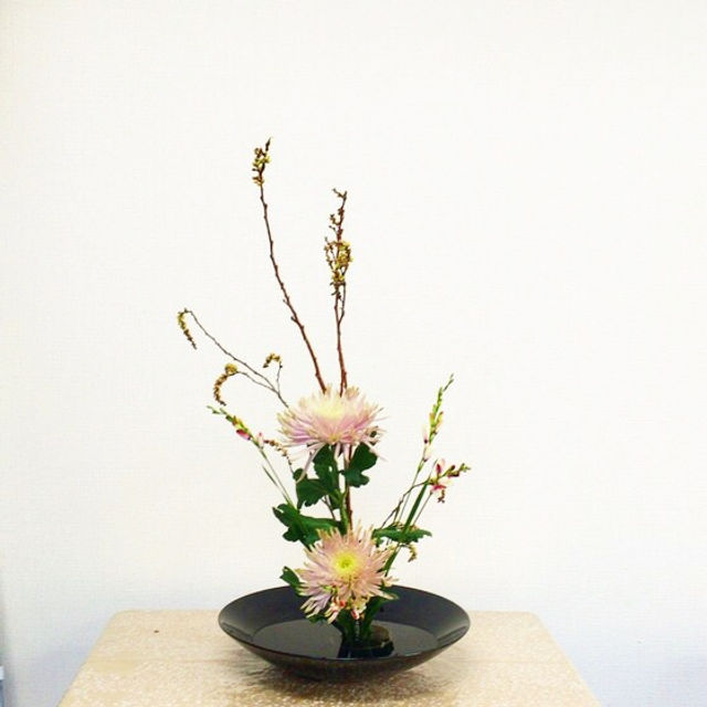 奈良のいけばな教室日記と3分でわかる上手に花をいけるコツ 奈良 西大寺 高の原 彼岸桜 奈良のいけばな教室日記と3分でわかる上手に花をいけるコツ 奈良 西大寺 高の原 彼岸桜