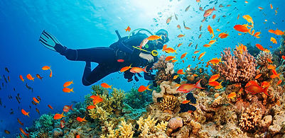 1514359009_Underwater-Scuba-diver-explor
