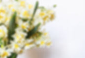 Yellow And White Flowers