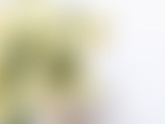 あけましておめでとうございます。