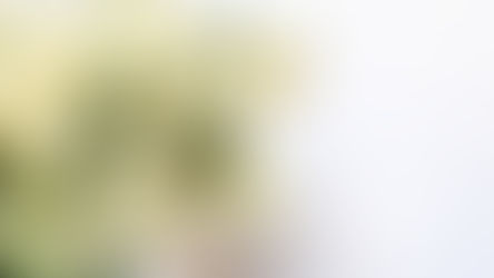 第二回 癒しのフェスタ 11/10(日)開催!