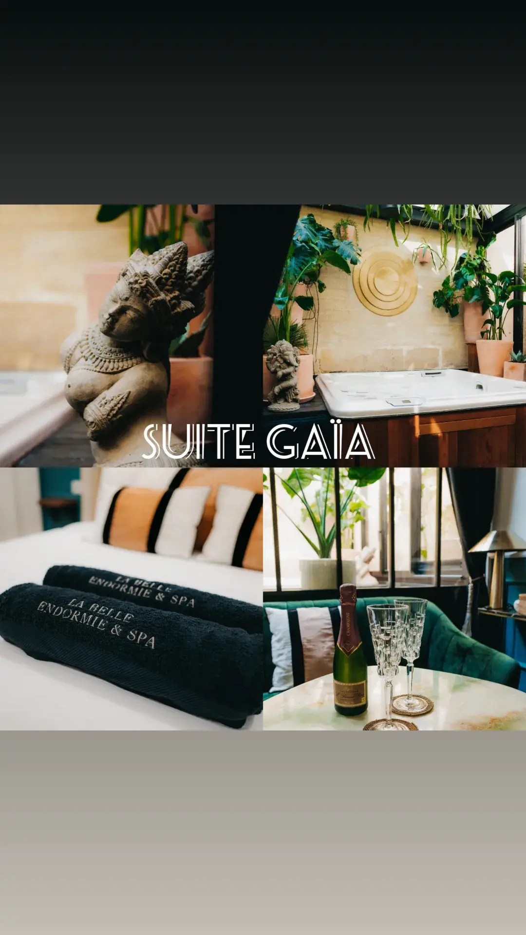 Suite GAÏA avec son Jacuzzi Privatif   prix à partir de