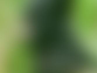 Aim High, Even When It Feels Impossible