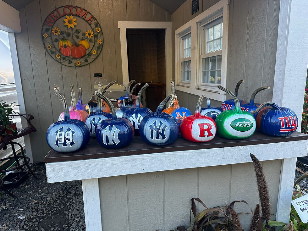 Pumpkins painted with sports logos outside a garden shed.