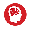 OPT-05.png