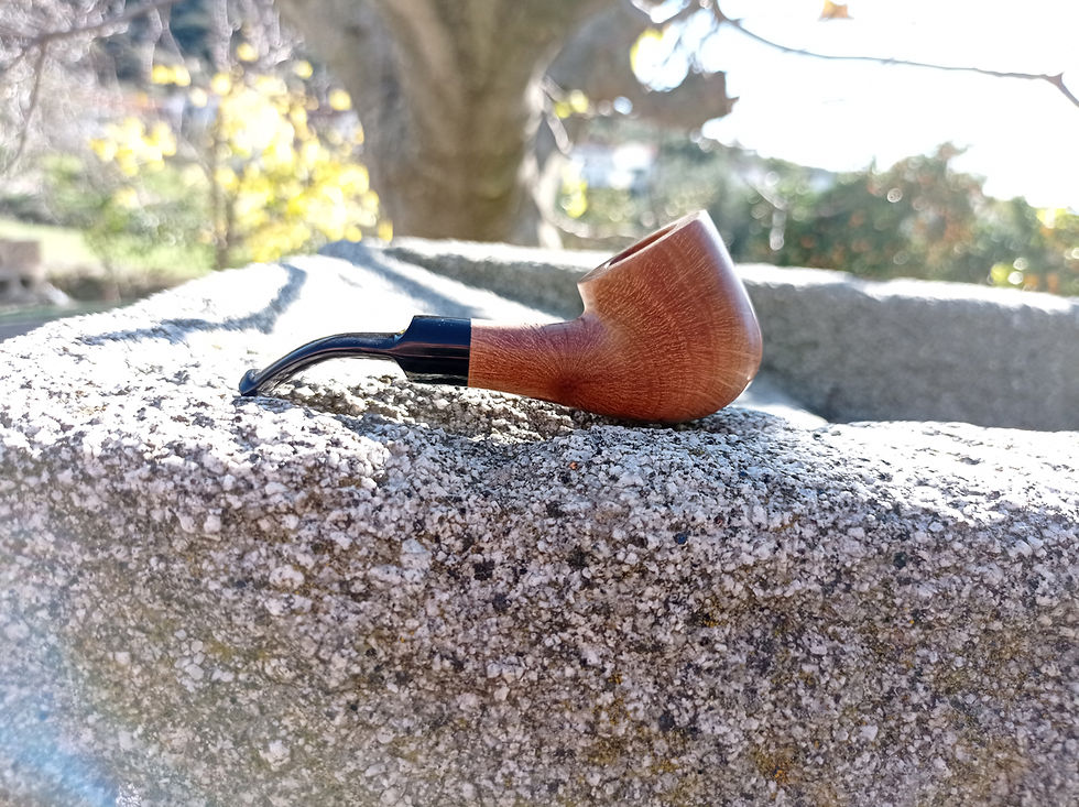 Miniatura: Pipa de fumar de madera de encina