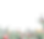 Asset 6.png