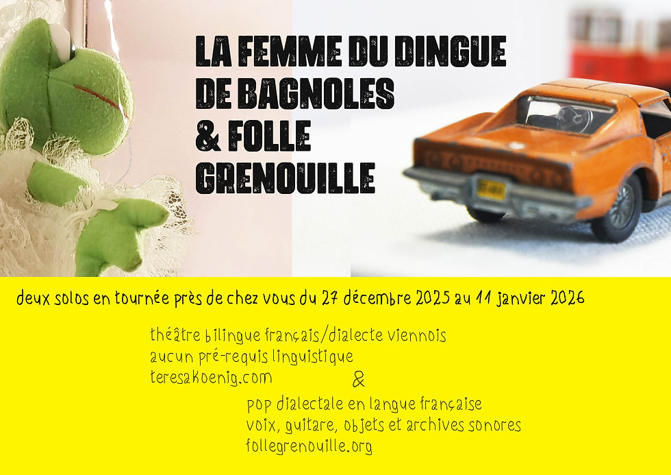 affiche_la femme du dingue de bagnoles & folle grenouille.jpg