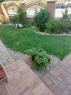 Venčiareň Rodinný hotel pre psy (19).jpg