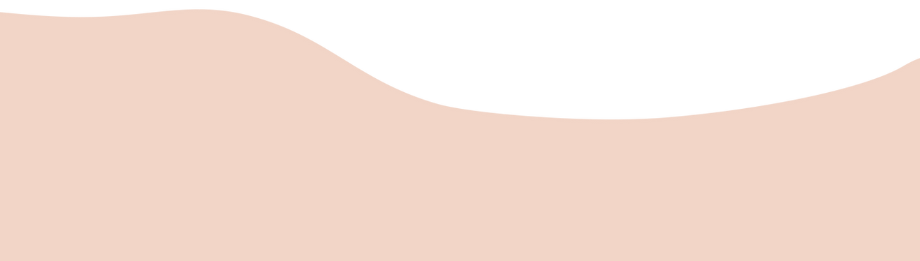 zem 2.png