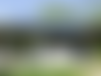 Save Earth by Saving Your Home