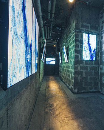 WhatsApp Image 2023-08-05 at 09.31_edited.jpg