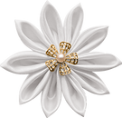 flower4752.png