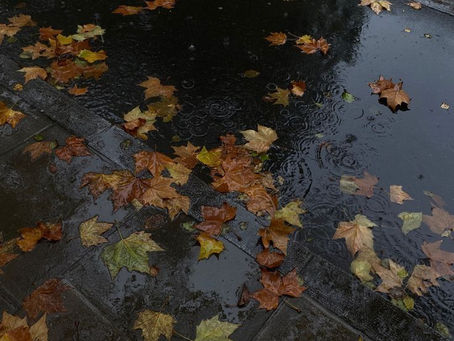 The Coming of Autumn
