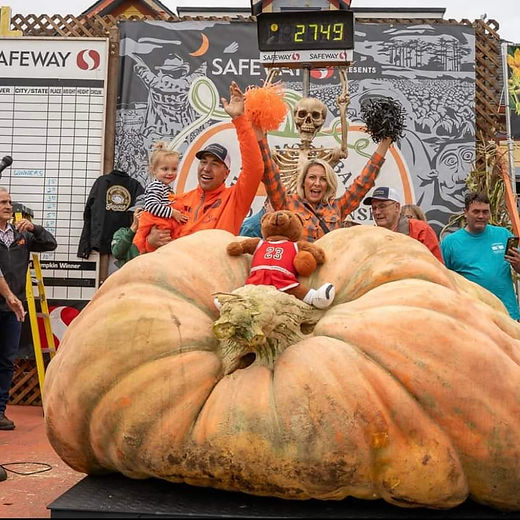 美品DYNASTYウィンピーWimpieウィレムマンディガー18g定価12800 美品