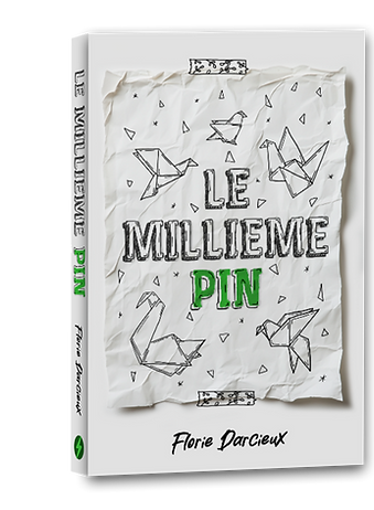 Couverture livre 3D