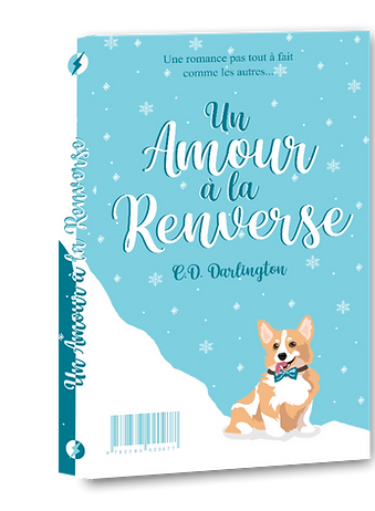 Couverture livre 3D