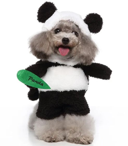 Pet Products Clothing