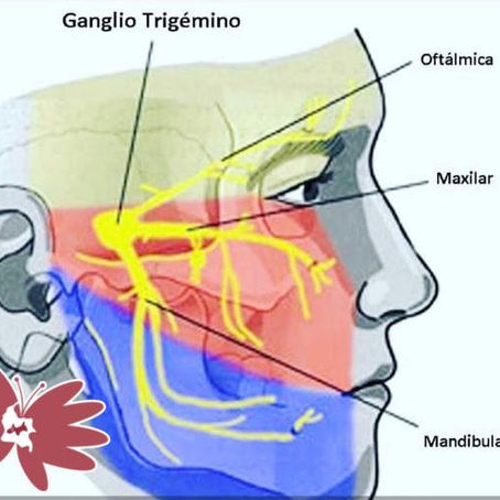 .😓NEURALGIA DEL TRIGÉMINO (Dolor severo de la cara) 🆘👩⚕️⬇️