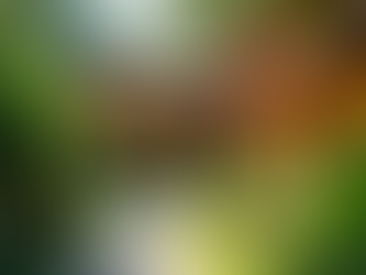 Unveiling Our Stay at Selina Bali: An Experience To Remember