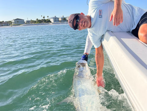 tarpon fight on fishing charter st pete