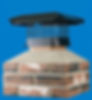 New chimney cap from Home Shield ProS