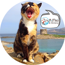 Copia di Blu Collage Viaggio Vacanza La Tua Storia (5).png