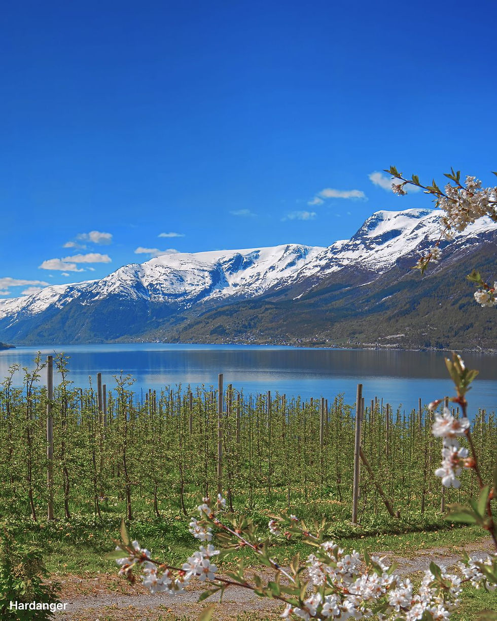 Hardanger