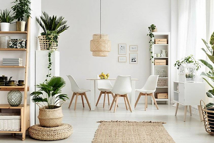 Scandinavian botanical interior design.png