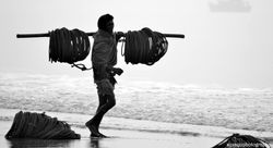 906620_745402402187383_6117002736598572201_o