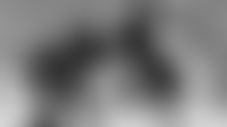 About This Blog: The Art of Movement