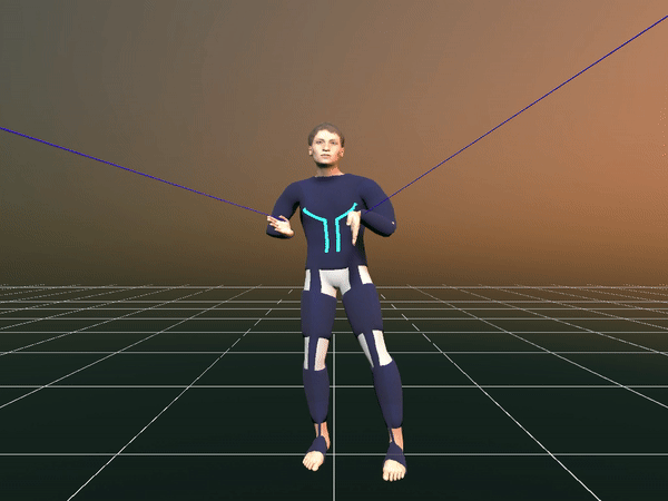 TPoseTracking.gif