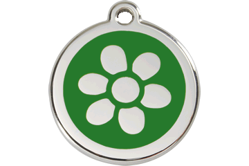 Thumbnail: Red Dingo Flower