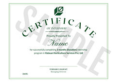 Certificate_edited.jpg