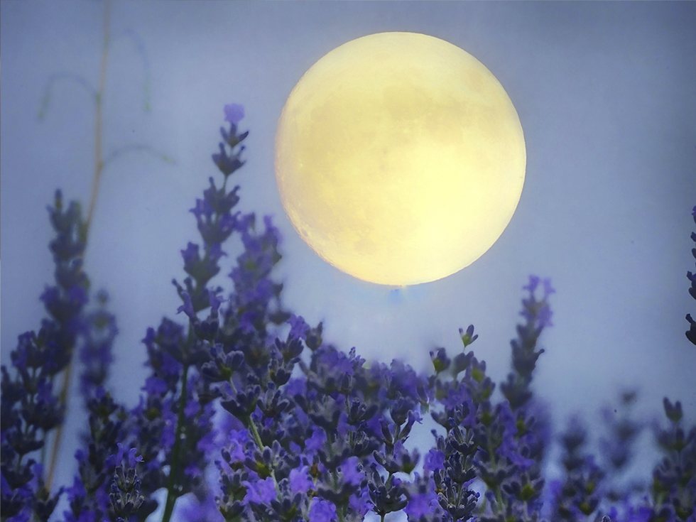 Full moon flower moon