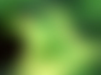 The little mermaid, ariel having her voice taken from her